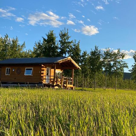 Oma'S And Opa'S Northern Lights Viewing Cabin Villa Whitehorse Eksteriør bilde