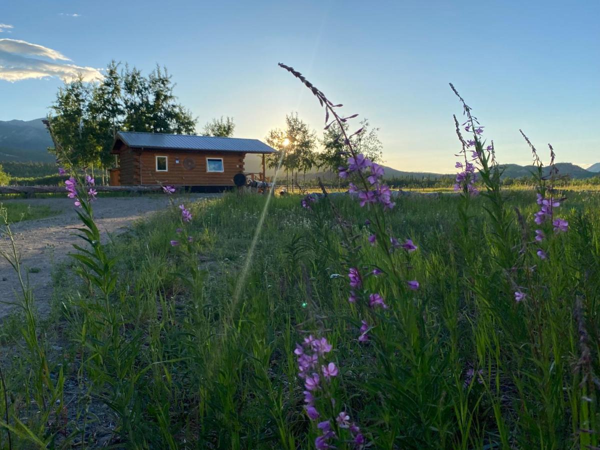 Oma'S And Opa'S Northern Lights Viewing Cabin Villa Whitehorse Eksteriør bilde