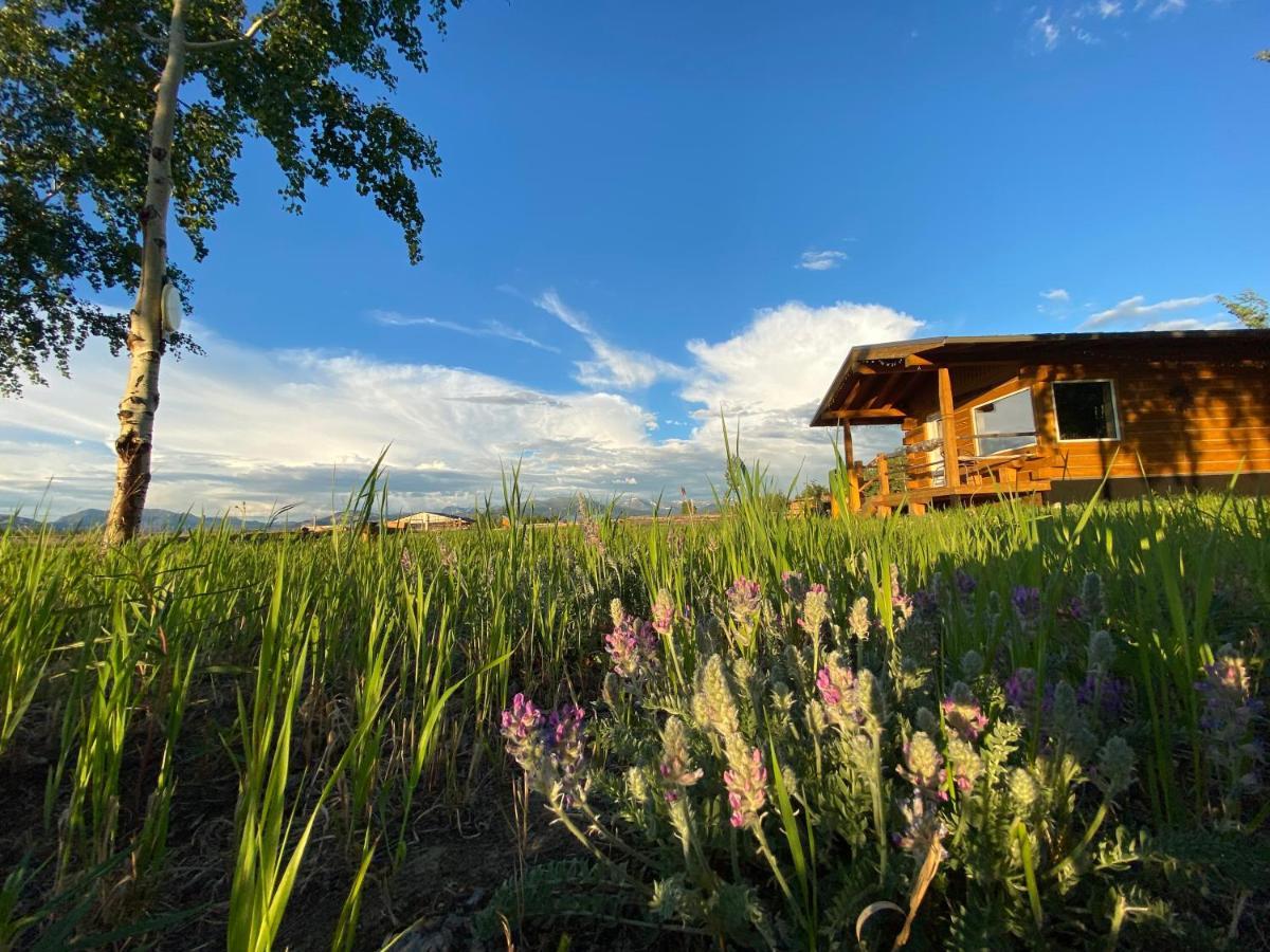 Oma'S And Opa'S Northern Lights Viewing Cabin Villa Whitehorse Eksteriør bilde