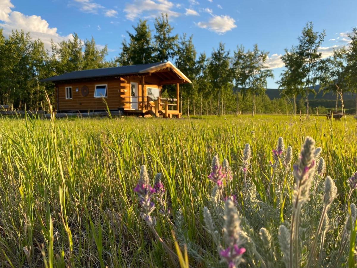 Oma'S And Opa'S Northern Lights Viewing Cabin Villa Whitehorse Eksteriør bilde