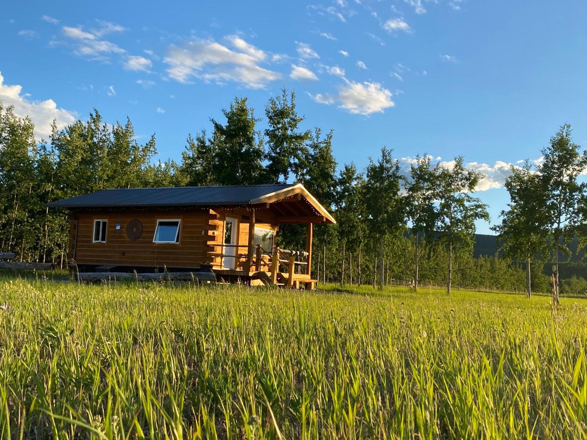 Oma'S And Opa'S Northern Lights Viewing Cabin Villa Whitehorse Eksteriør bilde